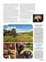 Page: - 55 | Cycle World