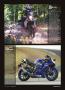 Page: - 39 | Cycle World