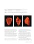 Page: - 97 | Cycle World