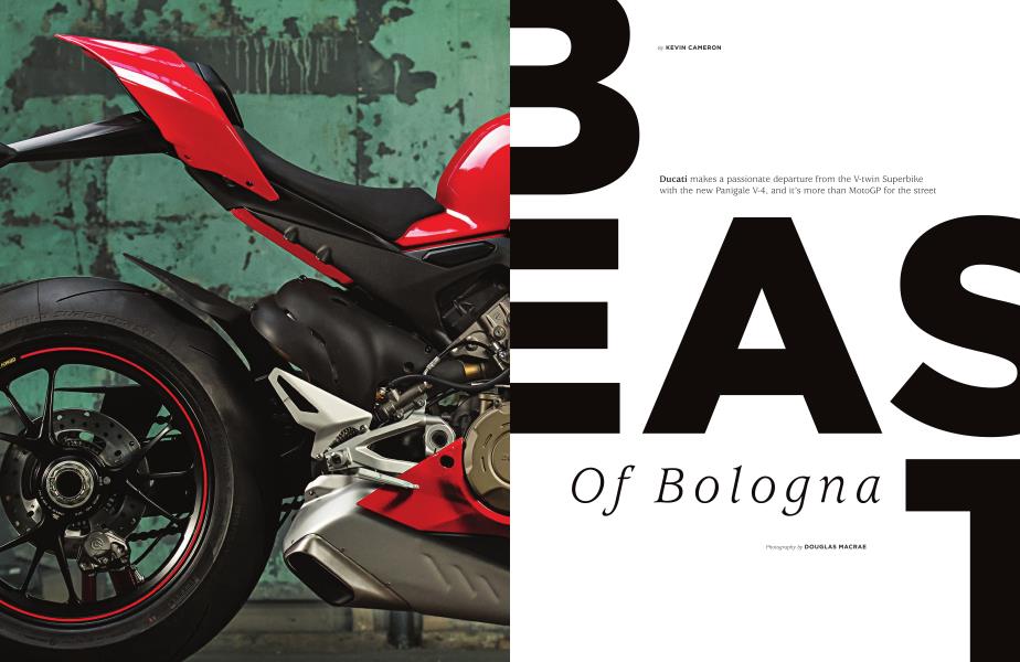Best of Bologna