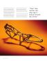 Page: - 26 | Cycle World