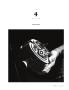 Page: - 7 | Cycle World