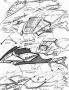 Page: - 55 | Cycle World