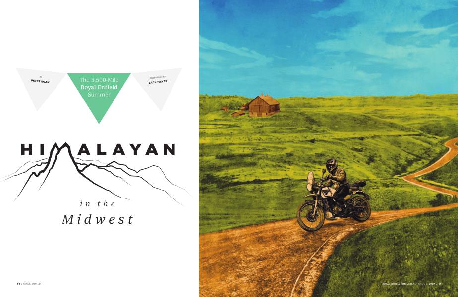 HIMALAYAN in the Midwest