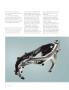Page: - 20 | Cycle World